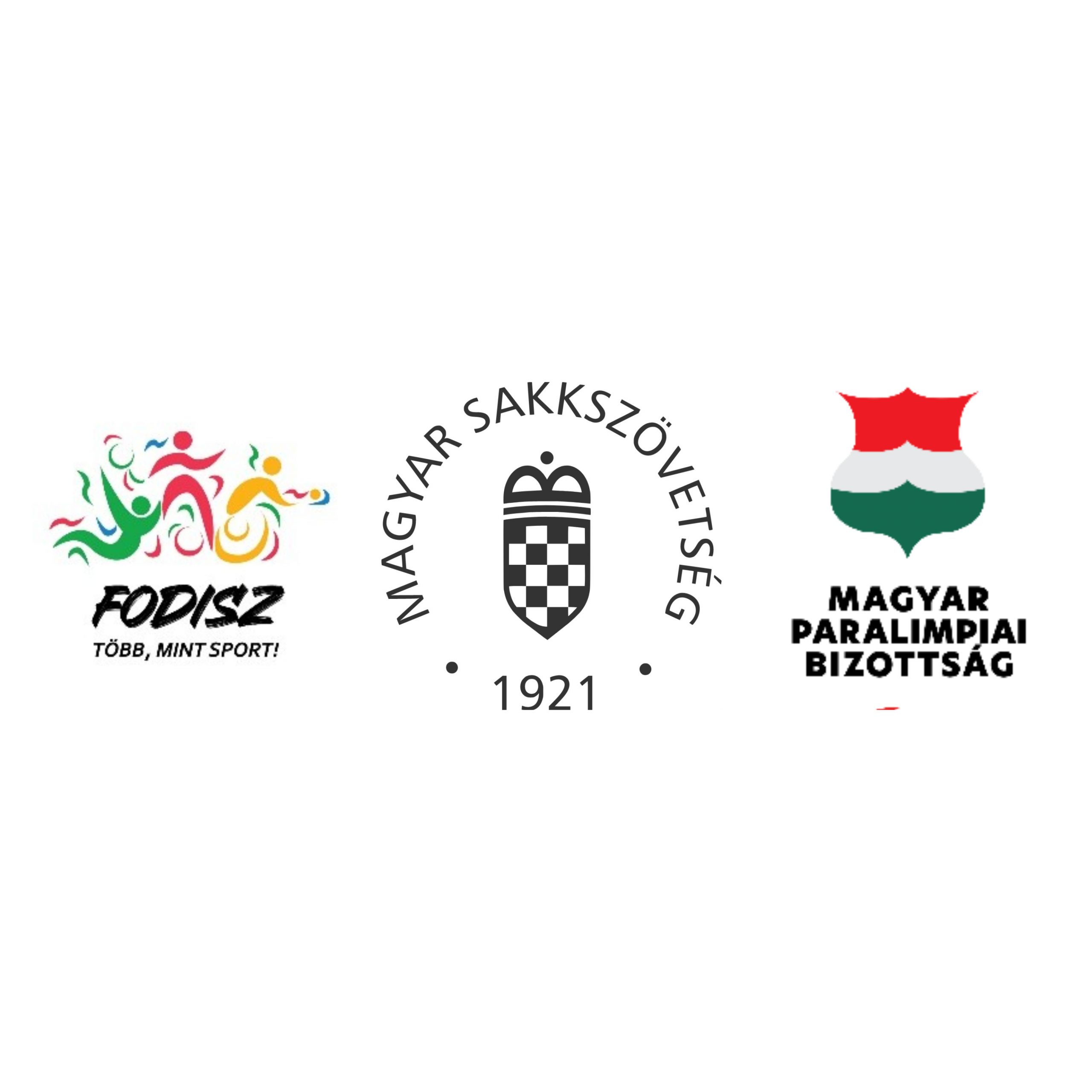 VI. Parasakk Magyar Bajnokság